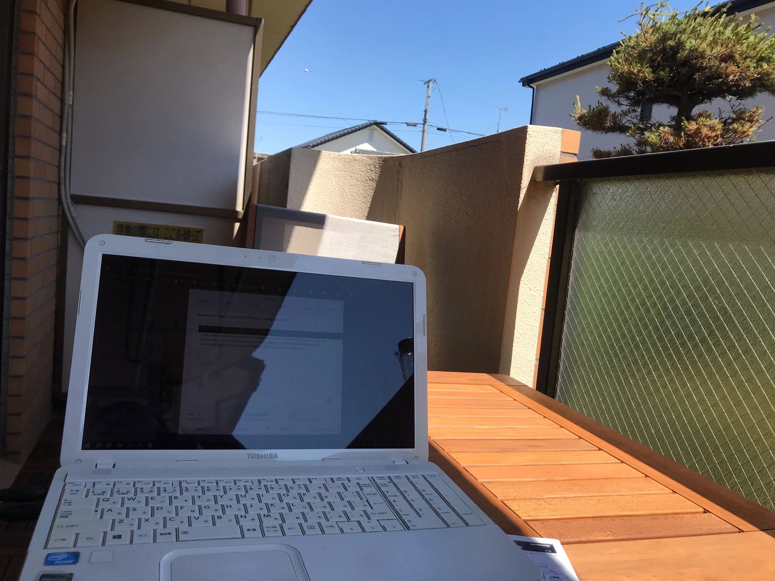 Murakami's Vinyl, Kathy Fish's Skillshare, And Lanai Time