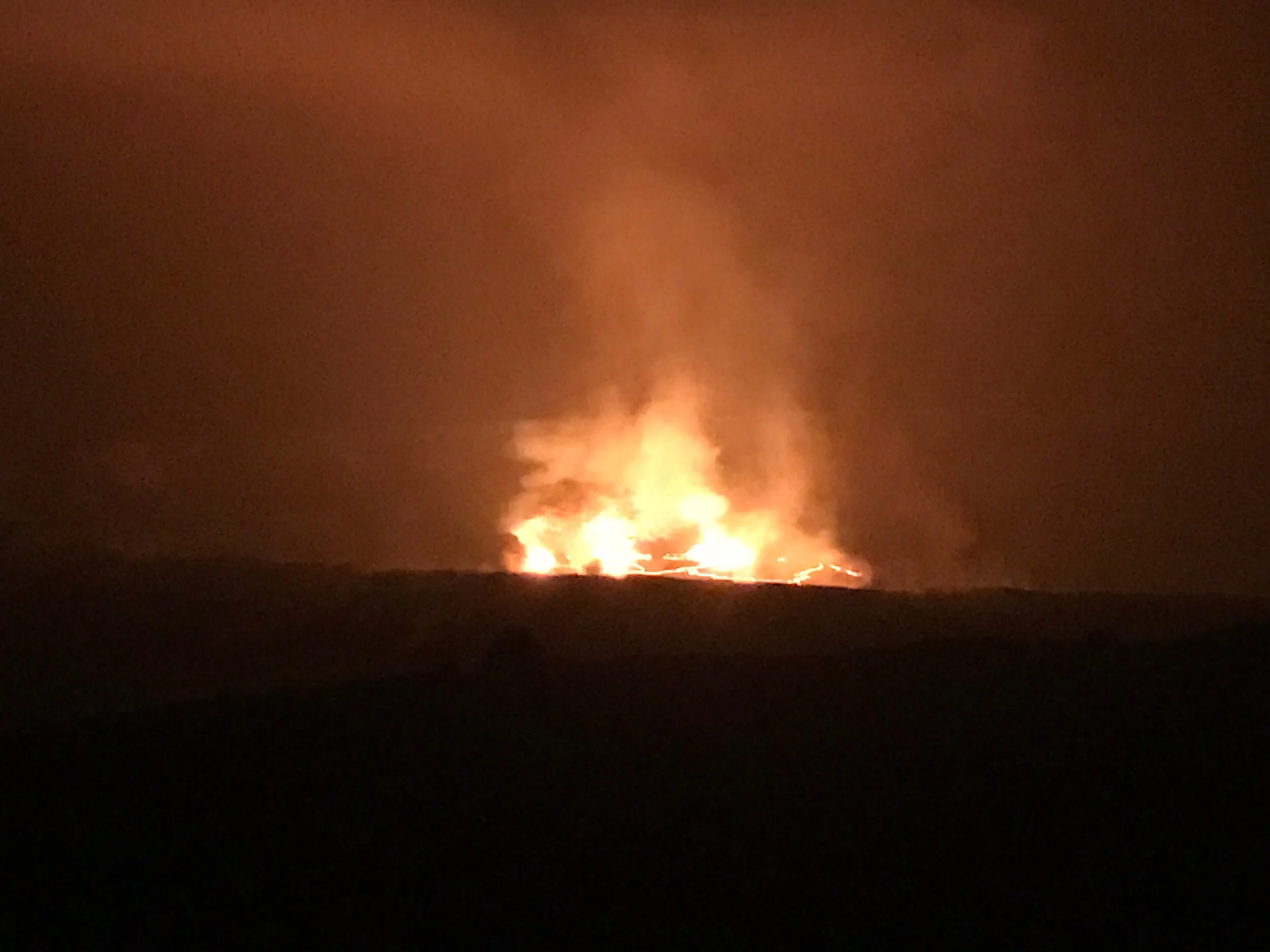 Celebrating Another Publication!