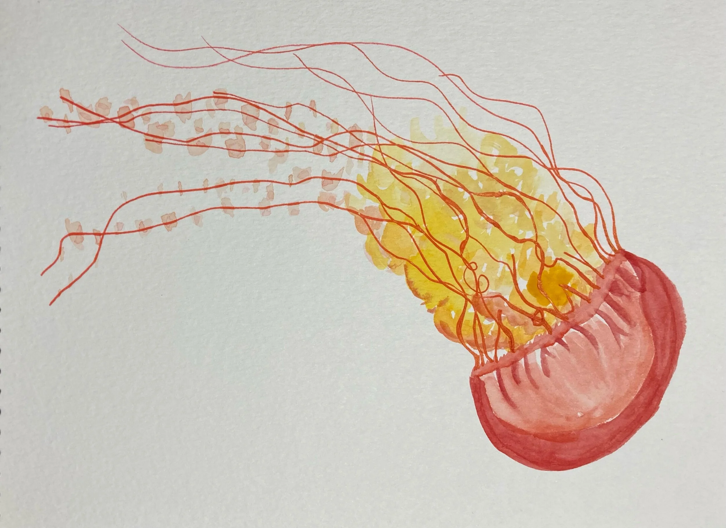 My #The100DayProject of 100 Days of Flash