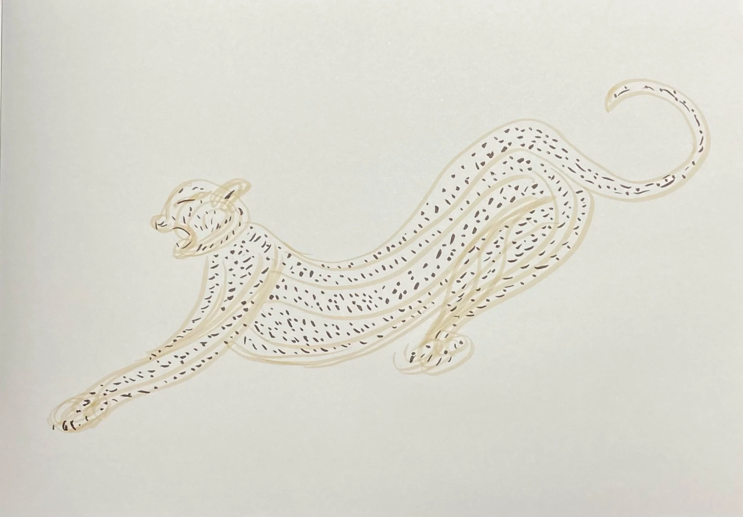 First and Second Acceptances of the Year