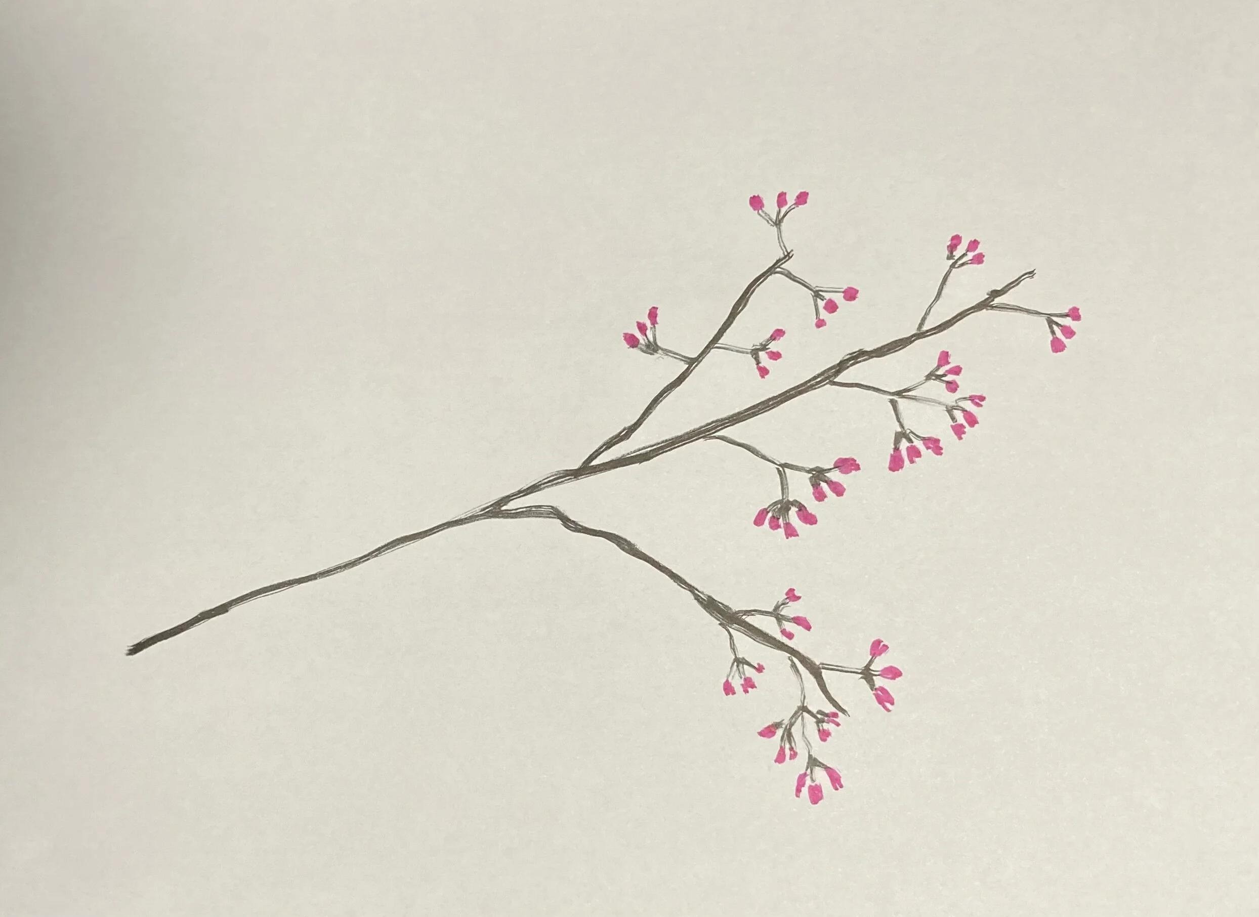 Celebrating My First Publication of the Year