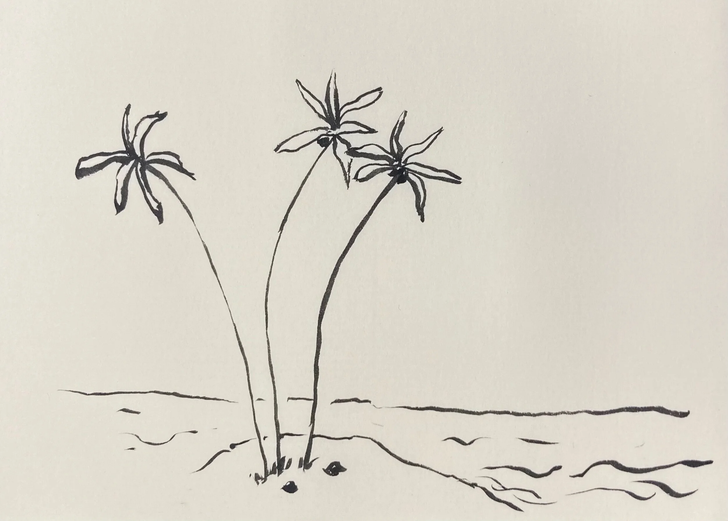 Podcast and Publication!