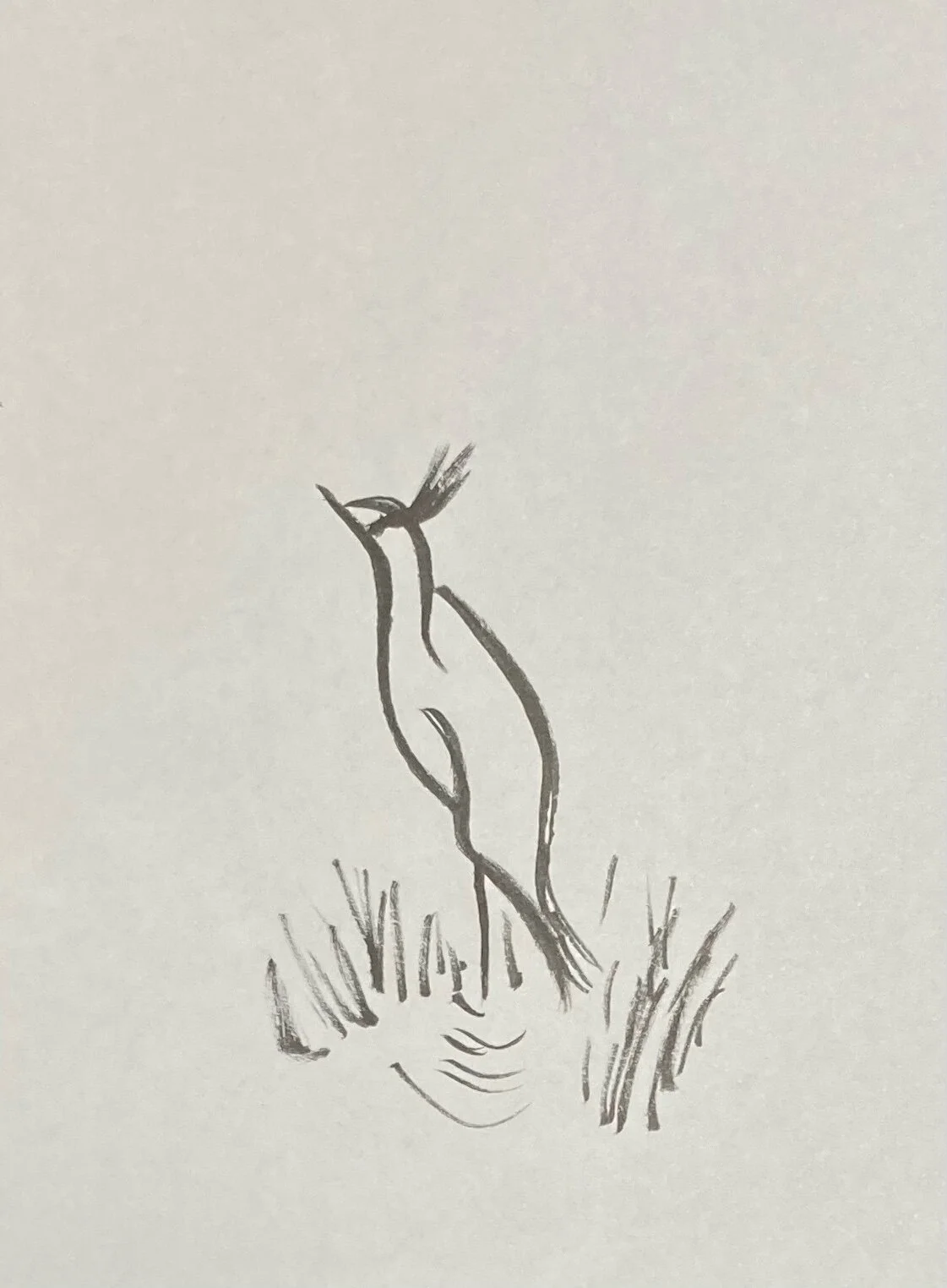 Editing My Short Story Collection And Trying Not To Cry