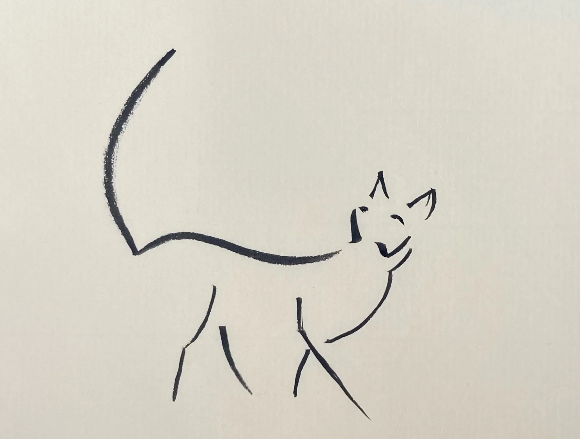 My Second Skull and Two Upcoming Workshops