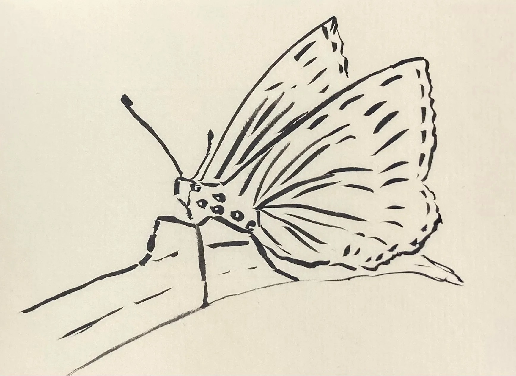 FlashNano 2021 and Writing A Novella in Flash