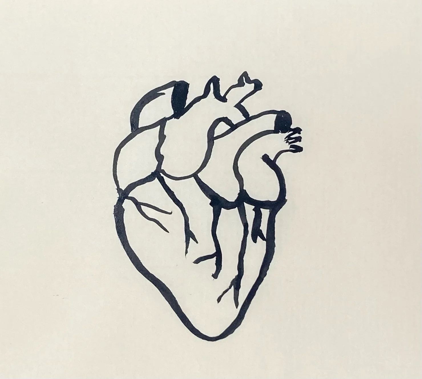 This Year's #The100DayProject And The Rollercoaster of Acceptances and Rejections