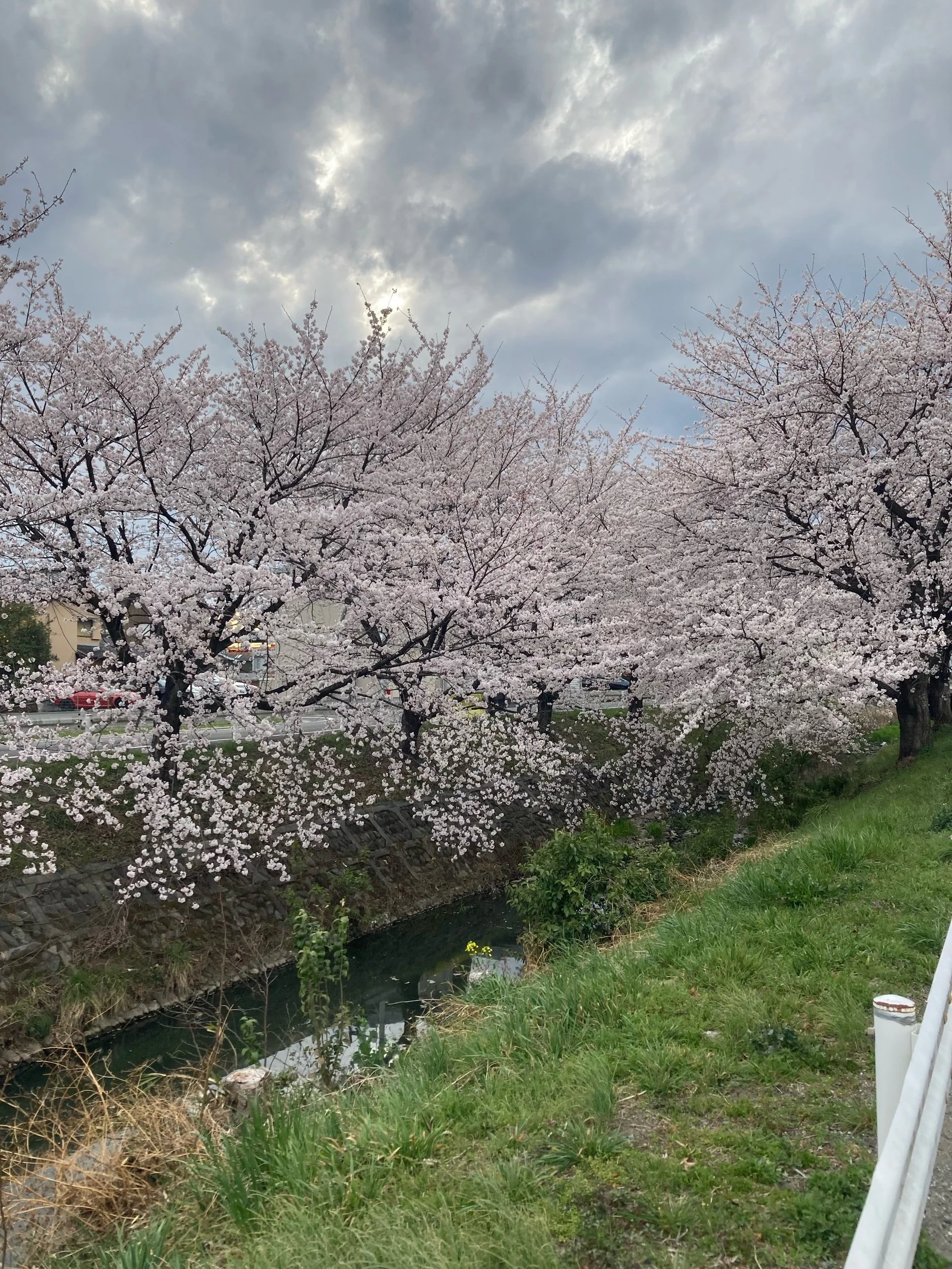 Music in My Life and My Writing