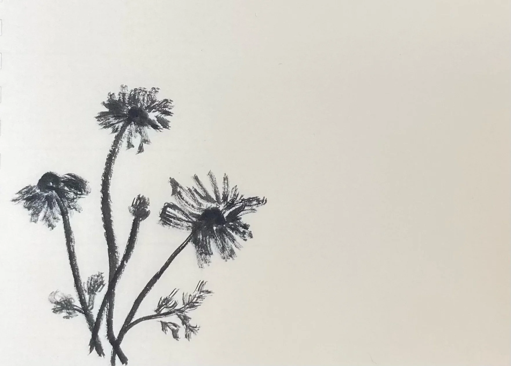 My First Ever Longleaf Review Issue As Co-Fiction Editor