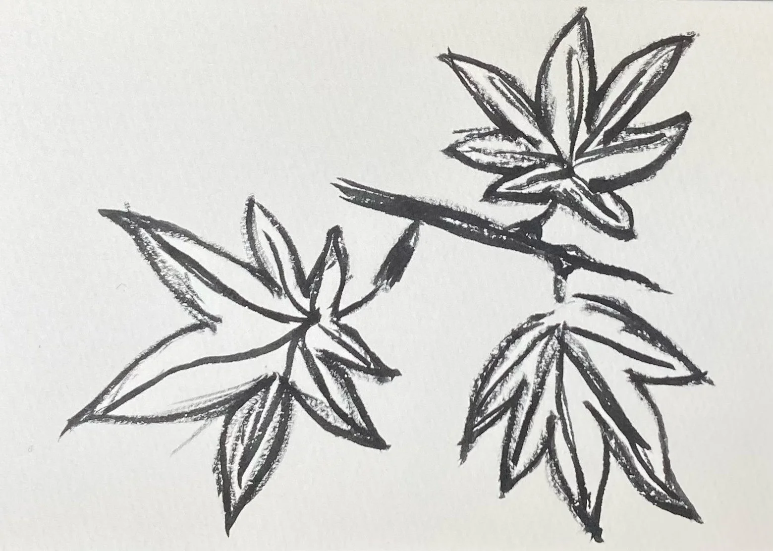 Believing In The Good Of Literary Twitter