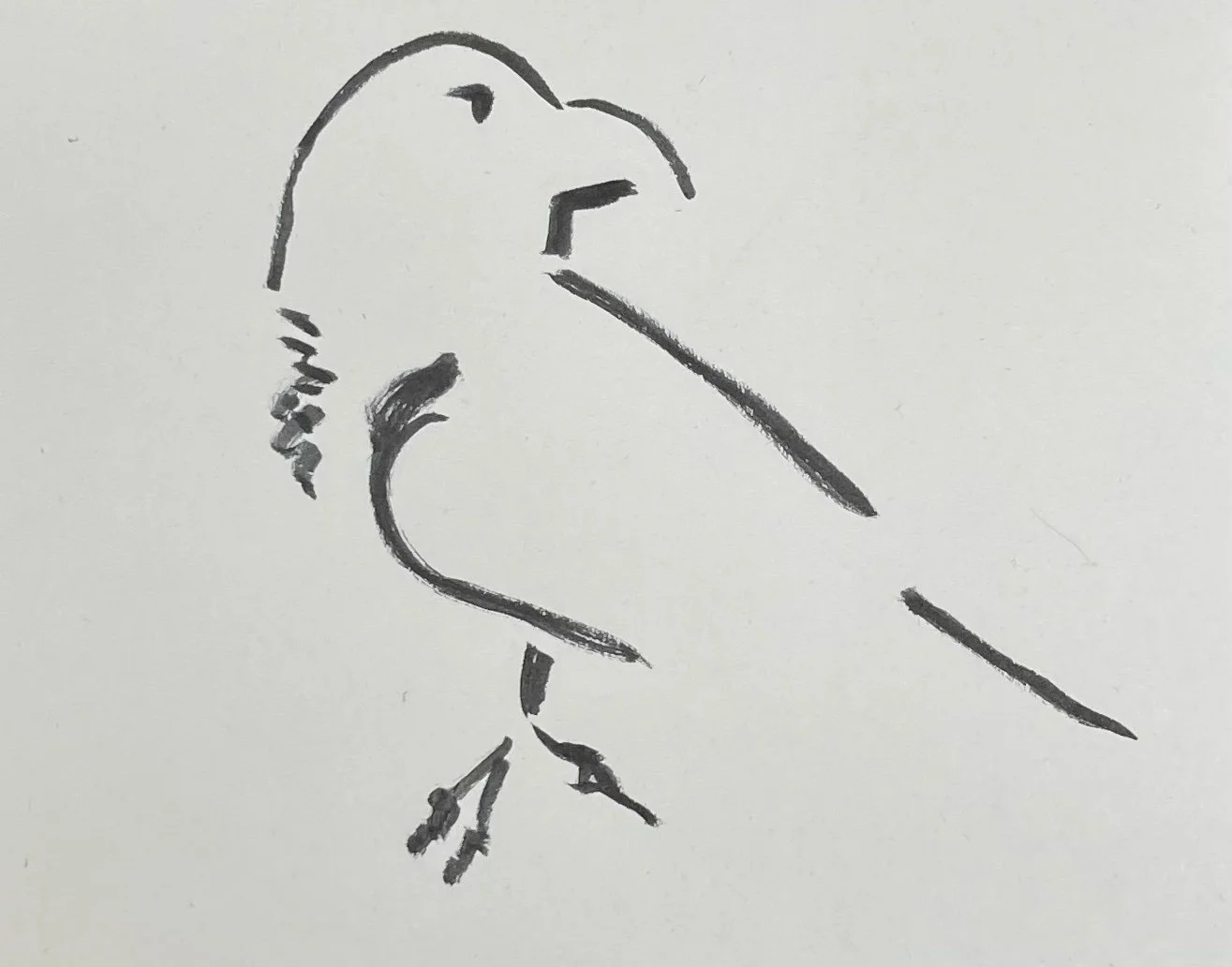 My Latest Reckon Review Column and Becoming a Lady