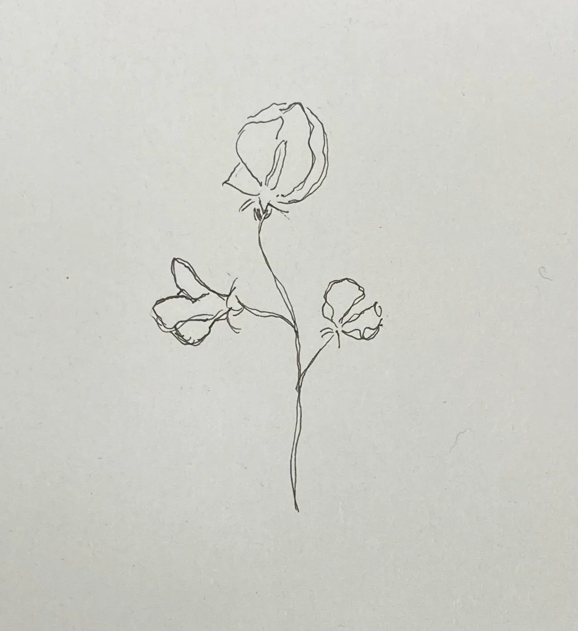 Learning To Pitch, Valentine's Podcast and a Depression Sprinkle