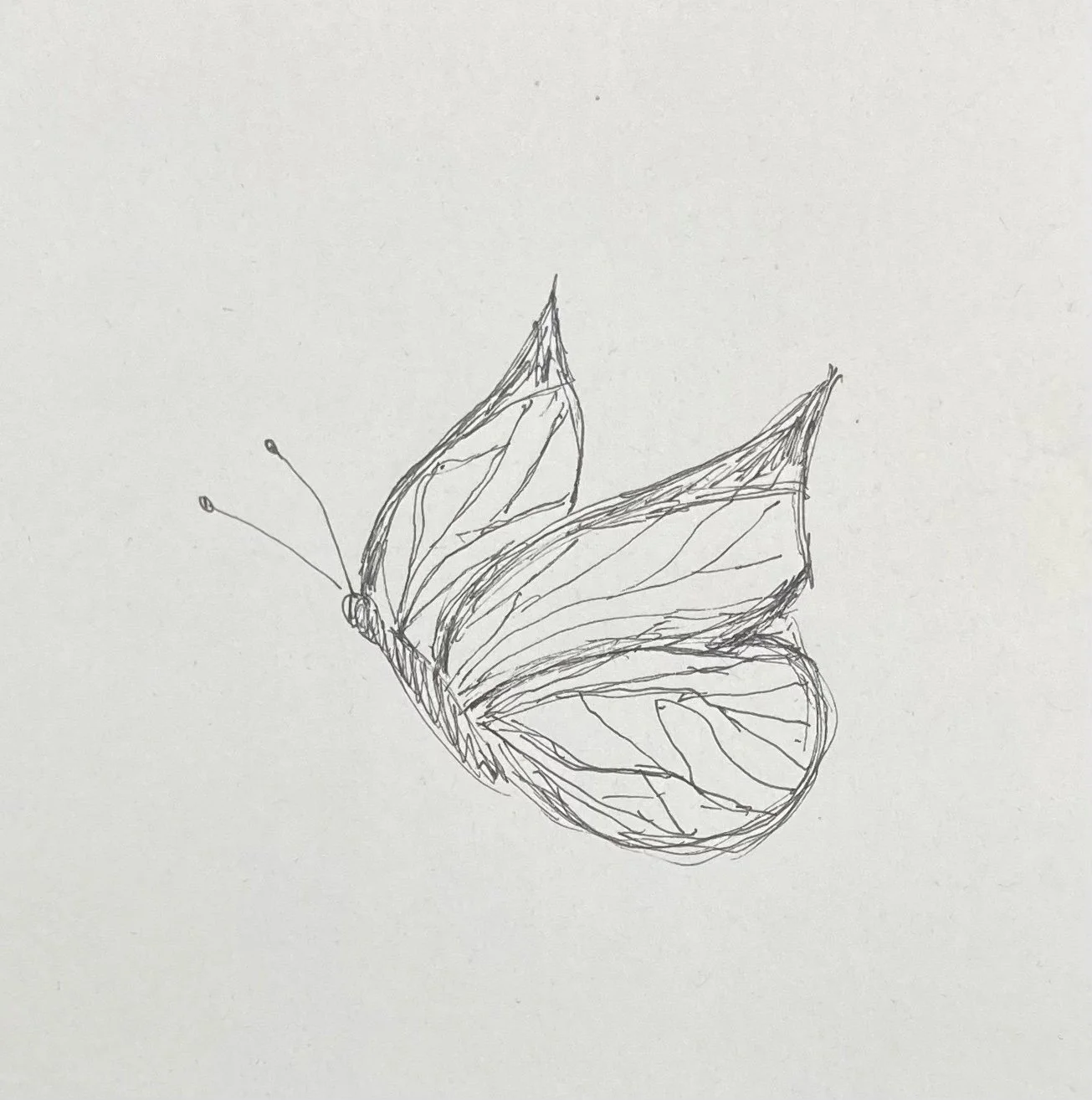 Fractured Lit Acceptance, Writing Longform and AWP FOMO