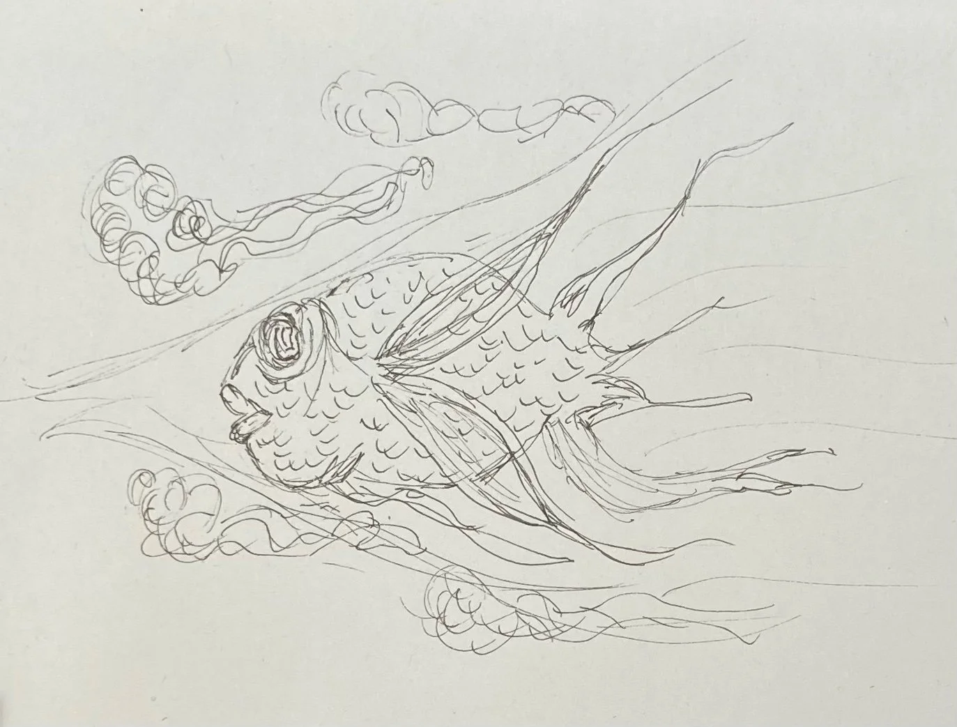 To Substack or Not To Substack