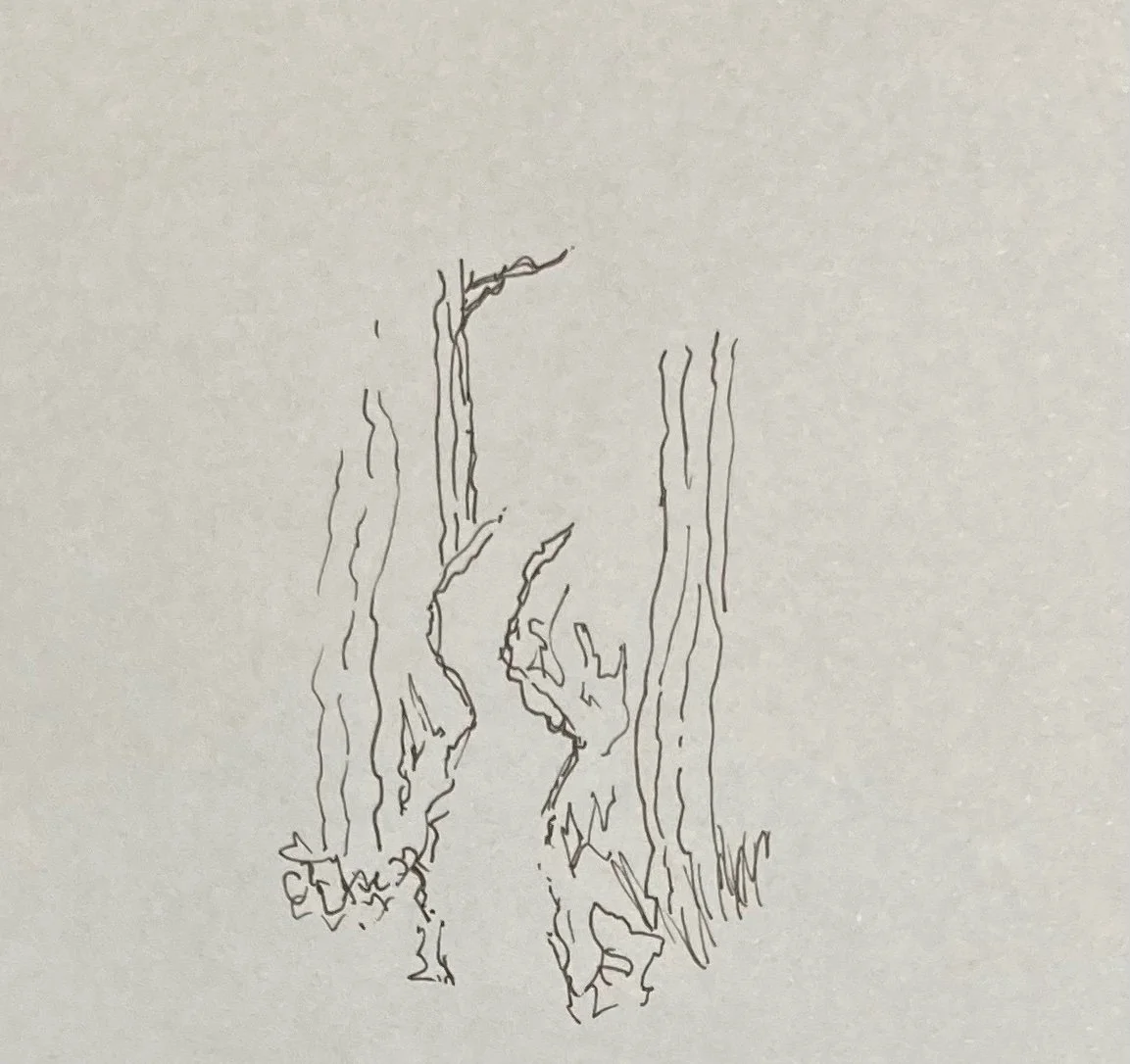 Wigleaf Top 50 Longlist, Hard Skin Birthday, and Nifty Book Club