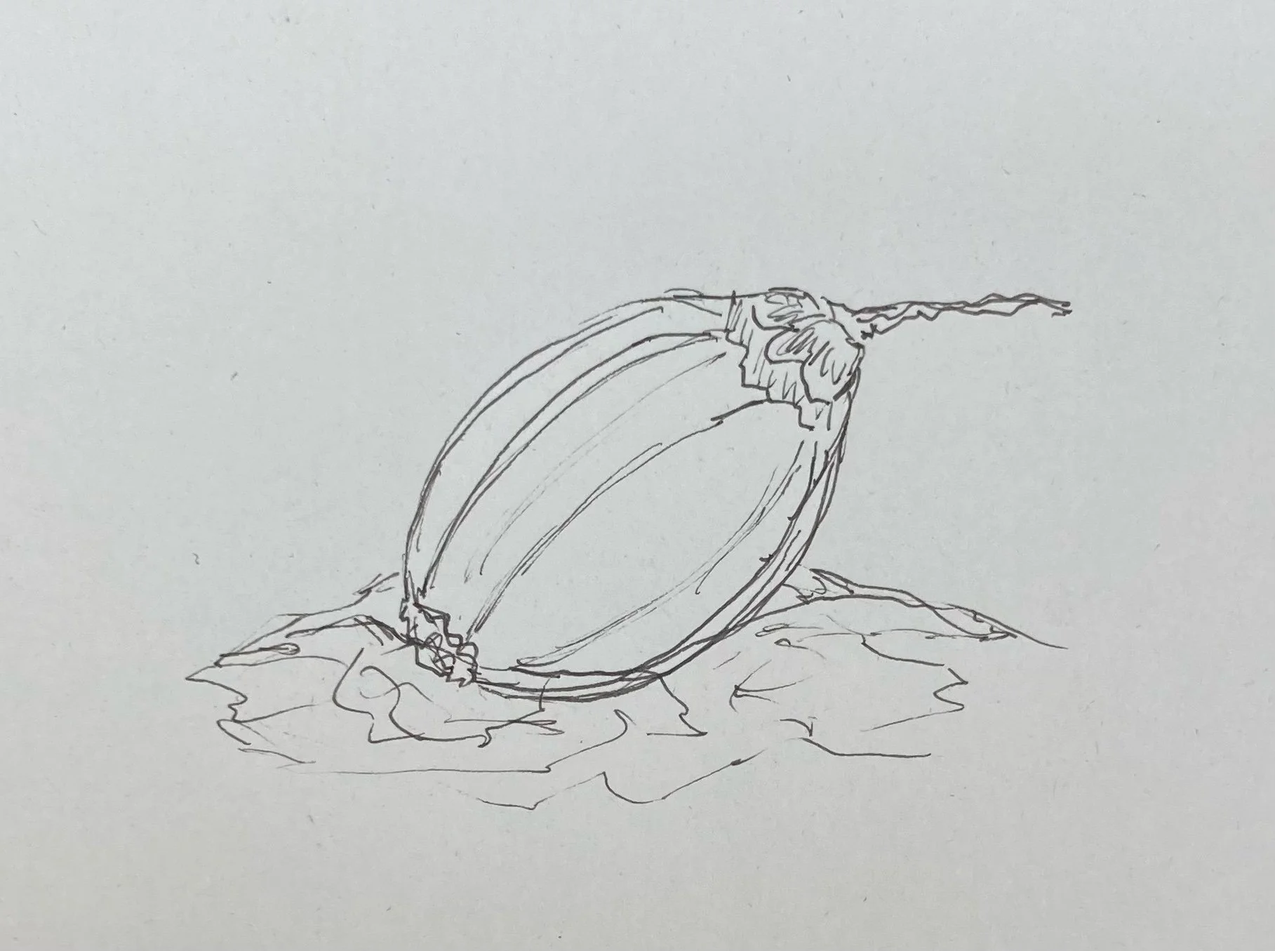 ICYMI Flash Frog Pub and Planning My Vacation