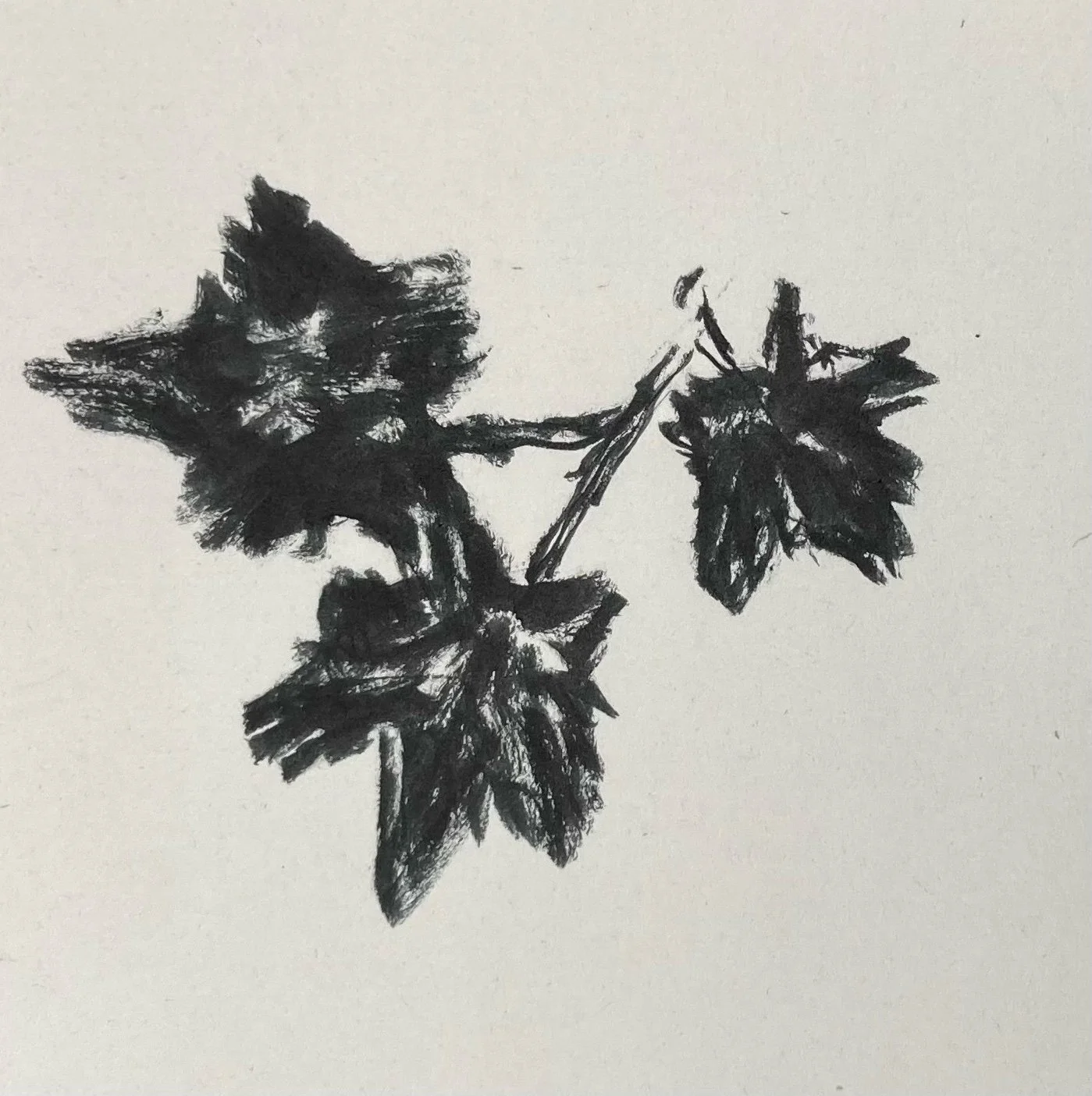 Rewilding with Lindy Biller and Keeping Up with FlashNano