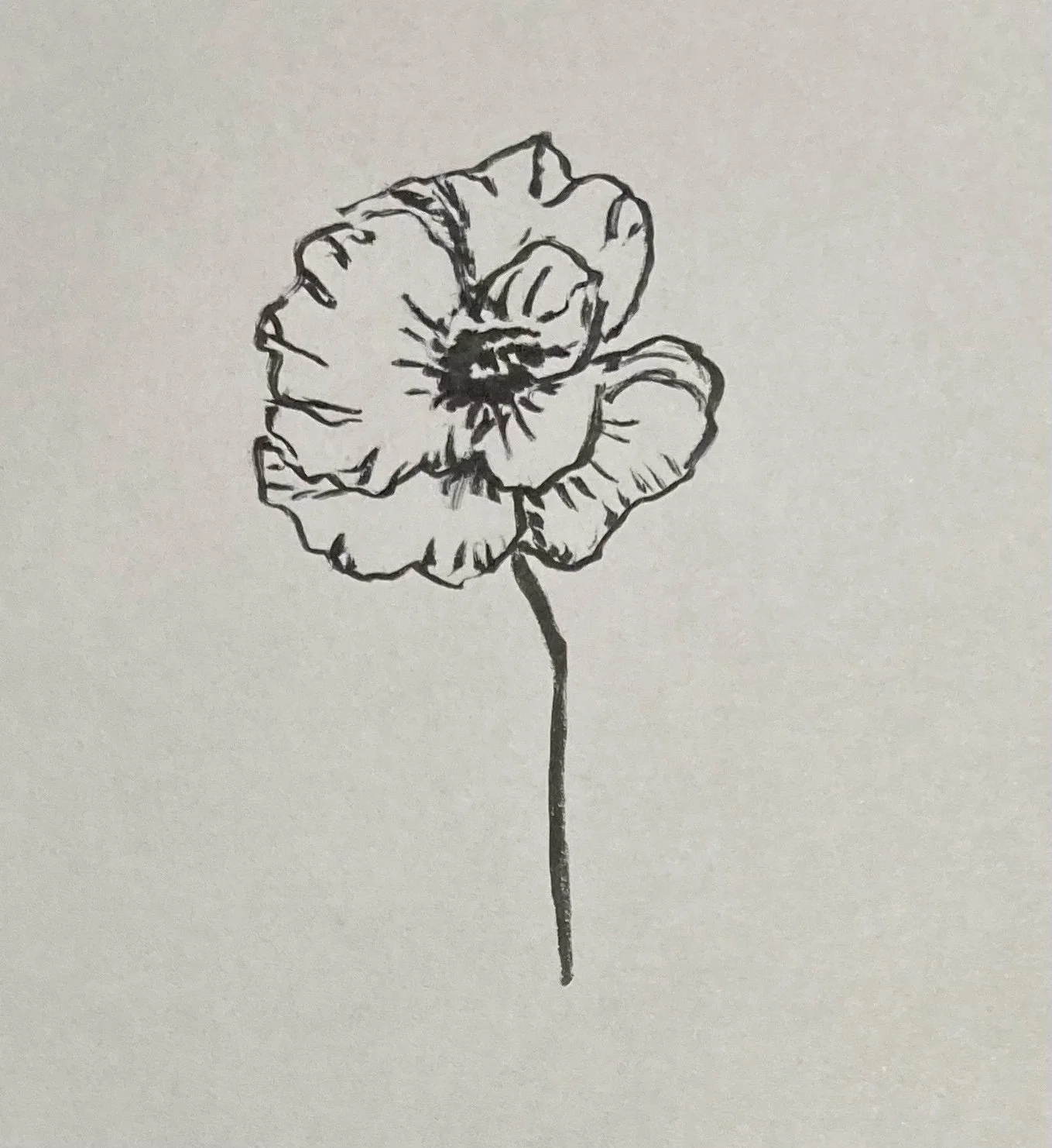 CLMPs Reading List for Native American Heritage Month, Already Gone, and swamp pink Pub