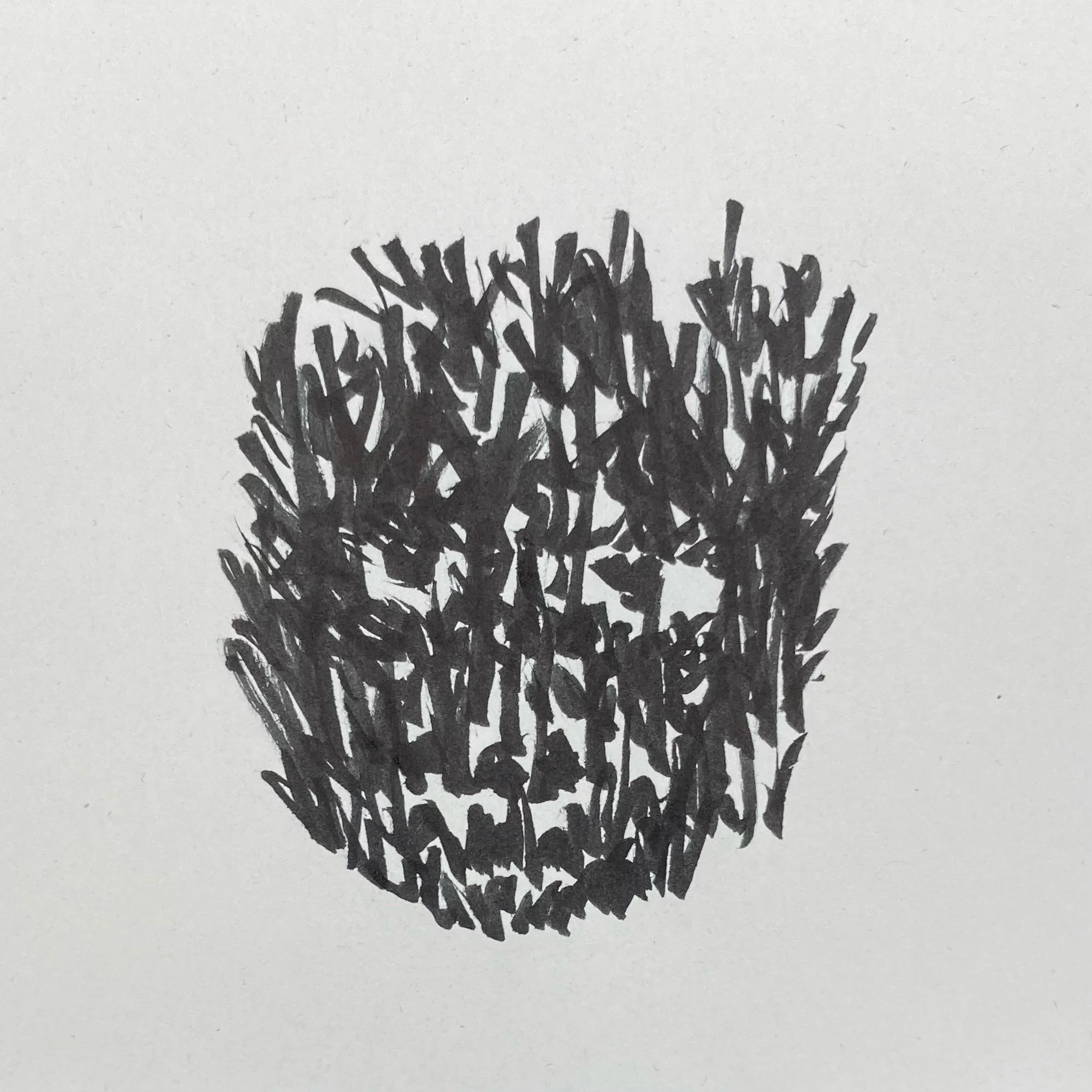 Trying to Kick Apathy's Ass and Upcoming Workshops