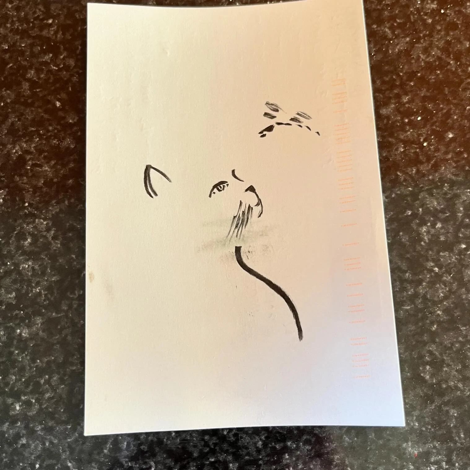 SFWP Longlist, A Few Pubs, and Working on a New Collection