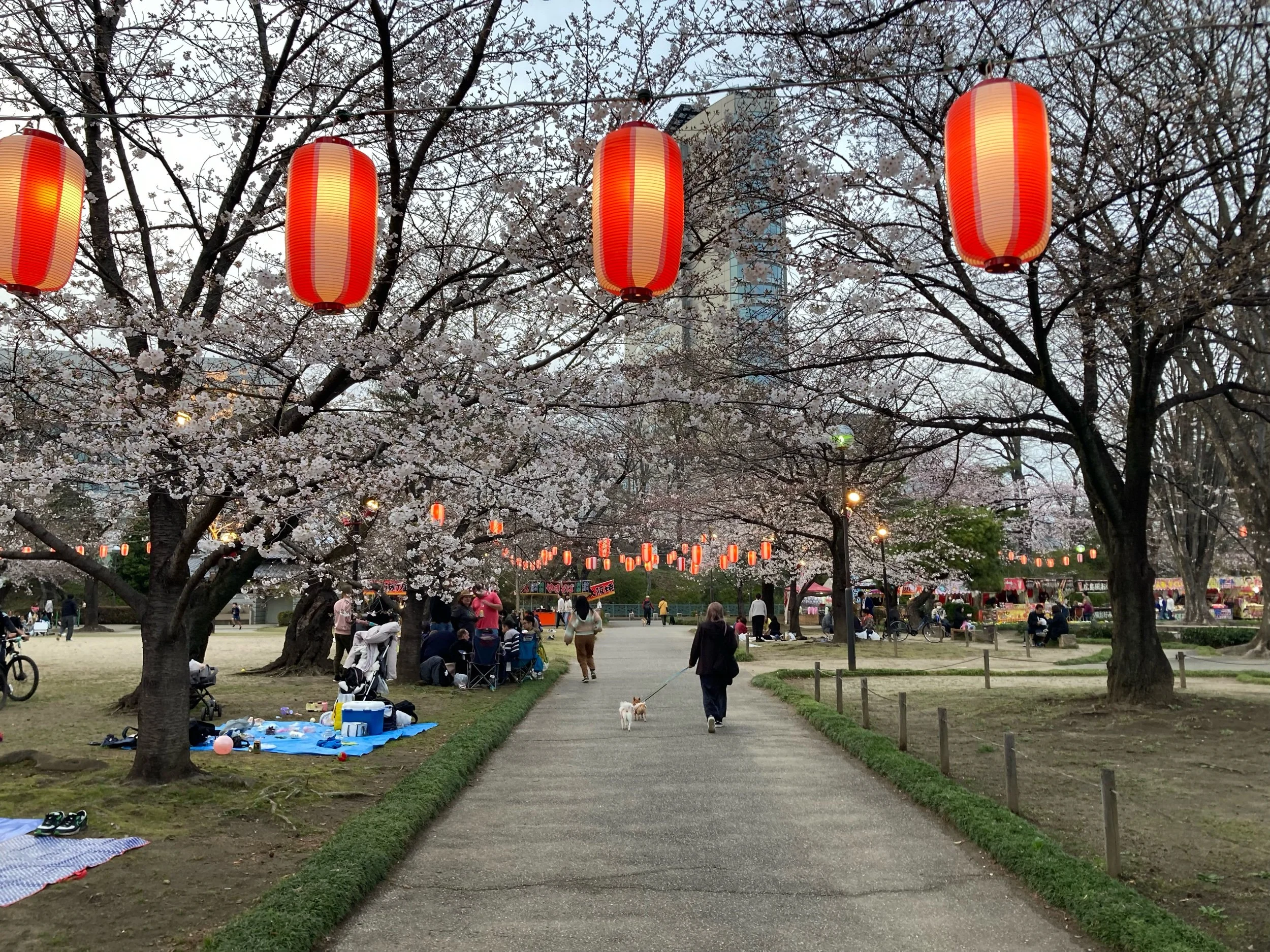 The Awesomeness of Our Community and My First Wine and Words