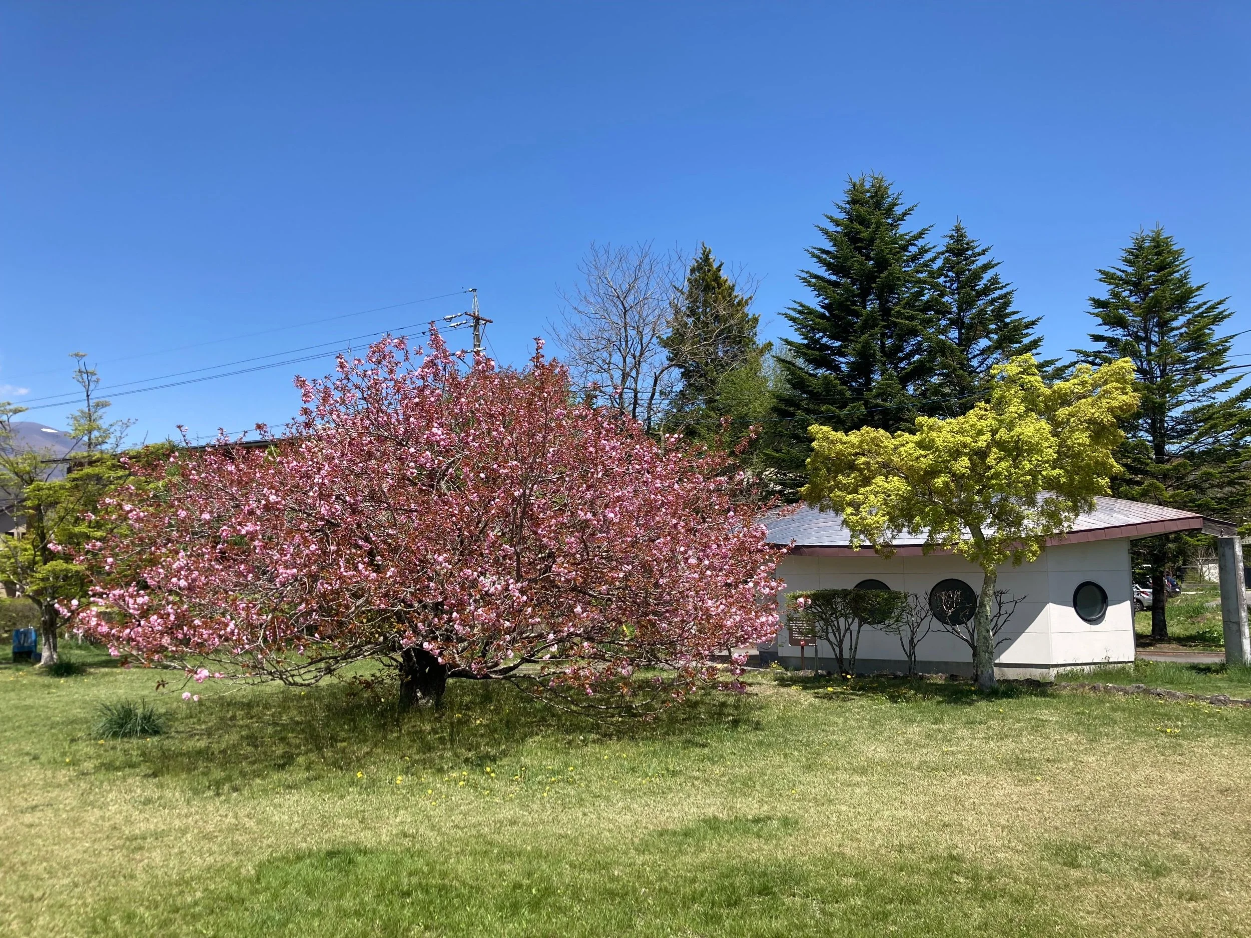 Submit to Literary Namjooning and More Wine &amp; Words Coming Up