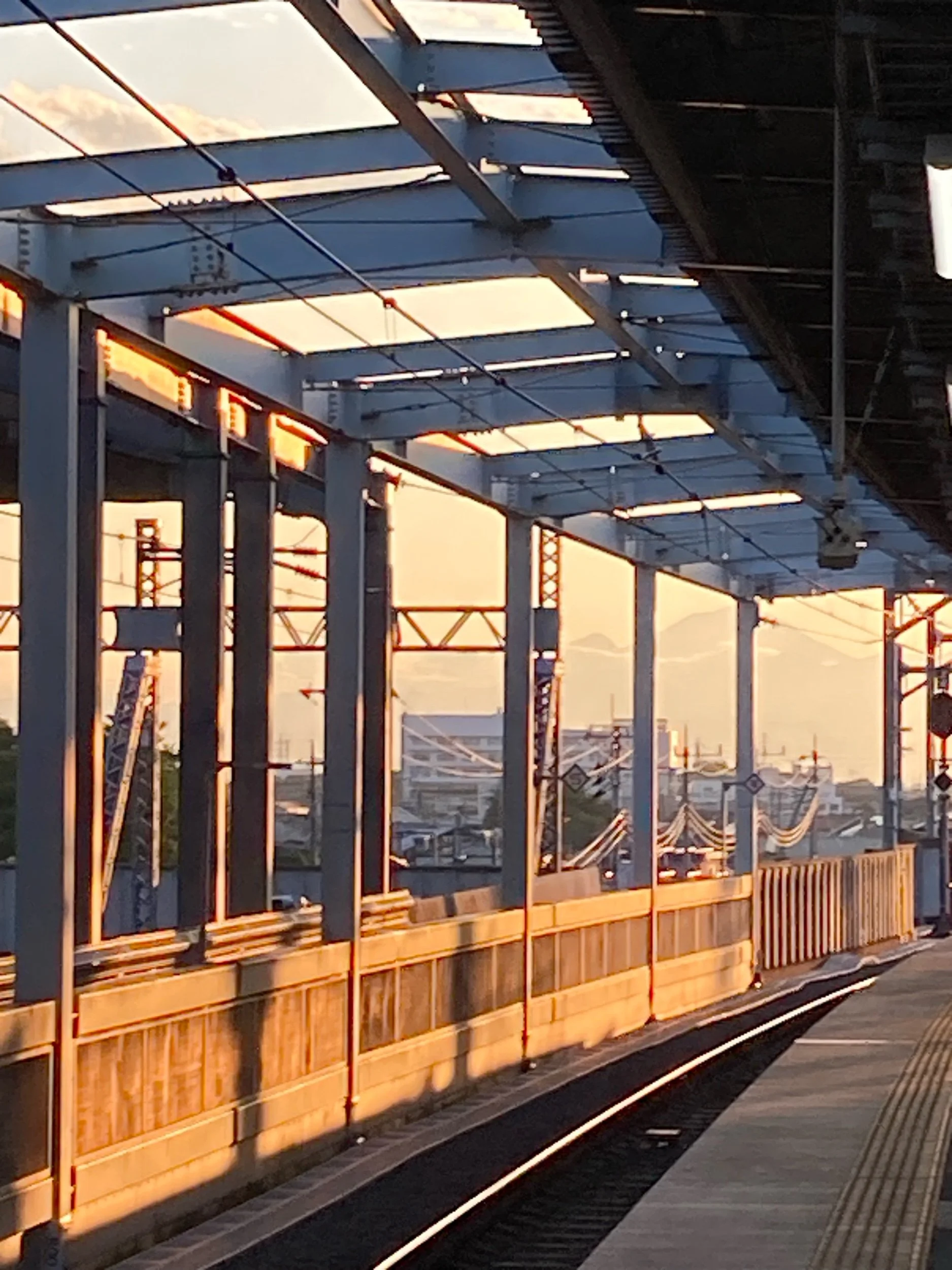 Best of the Net Nom from ANMLY, Trying to Find a Motorcycle, and Couple of Acceptances