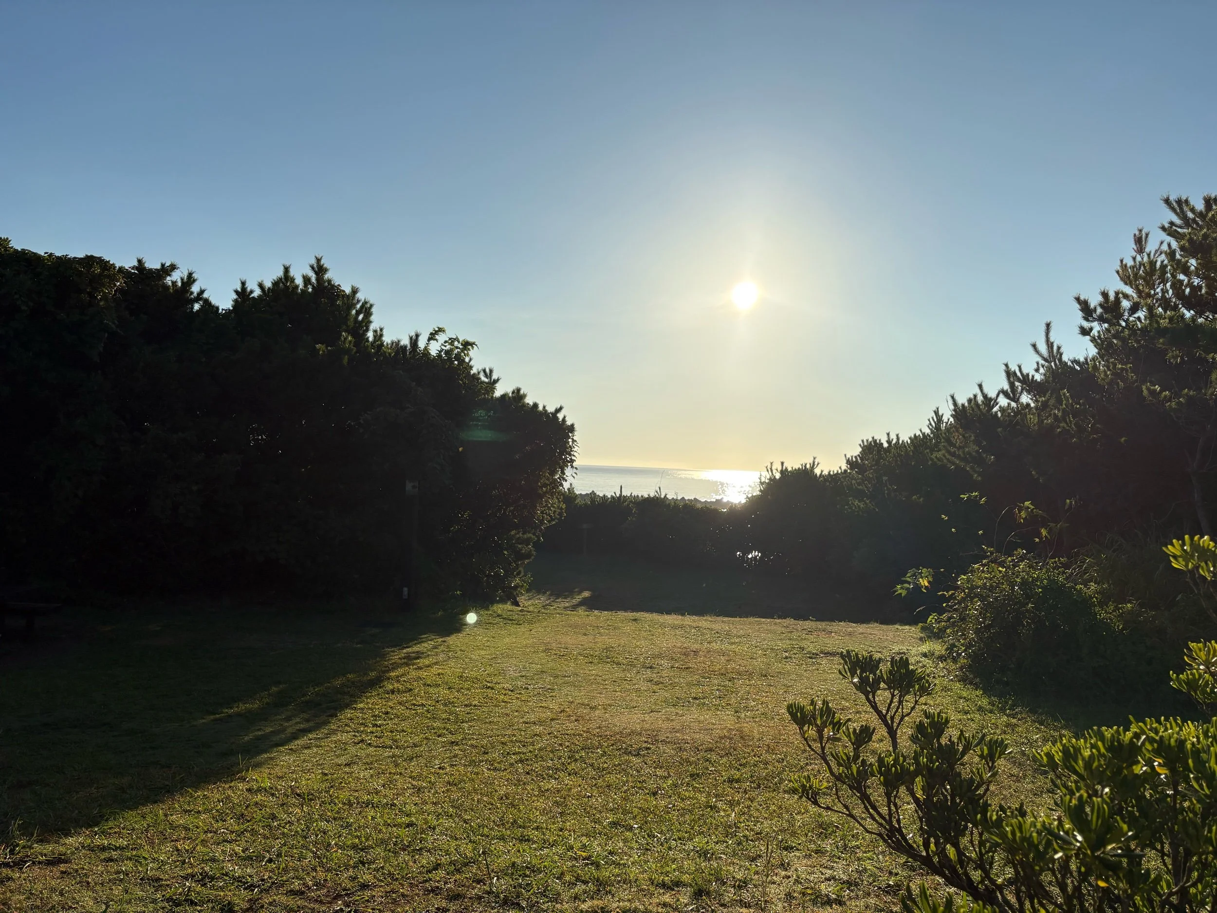 No AWP Panels For Me and Not Feeling Refreshed From My Island Getaway