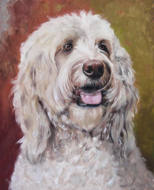 Bailey, Goldendoodle, 10"x8" oil