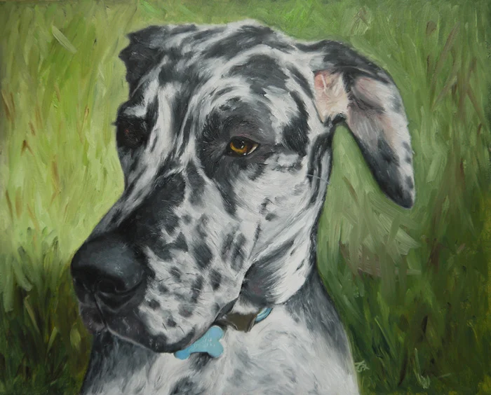 Sadie, Great Dane, 8"x10" oil