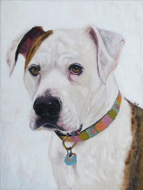 Charlotte, American Bulldog, 12"x9" oil