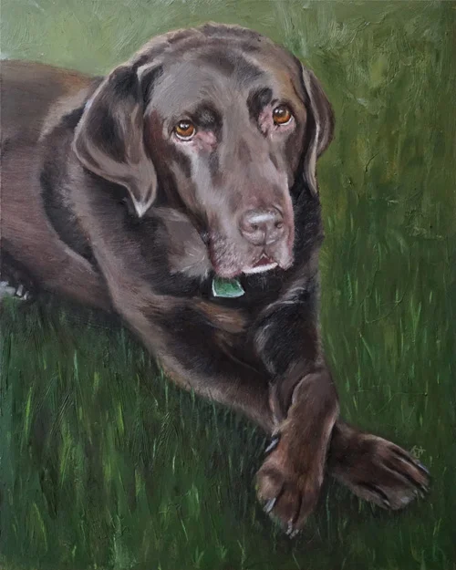 Greenboy, Chocolate Labrador Retriever, 10"x8" oil