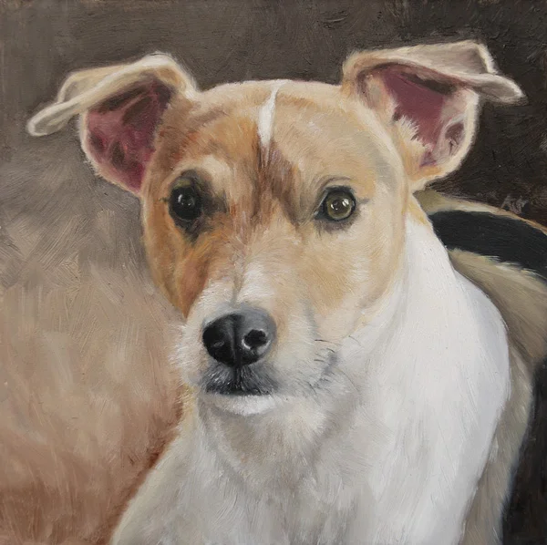 Lumpík, Parson Russell Terrier, 8"x8" oil