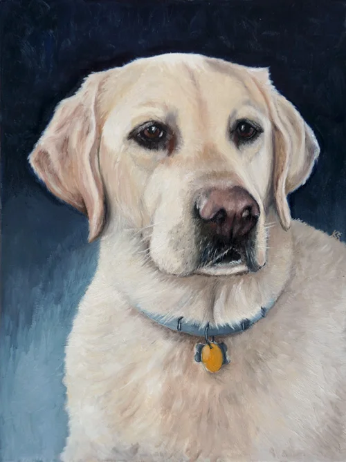 Makey, English Yellow Labrador Retriever, 12"x9" oil