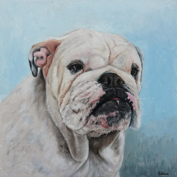 Asti, Bulldog, 12"x12" oil