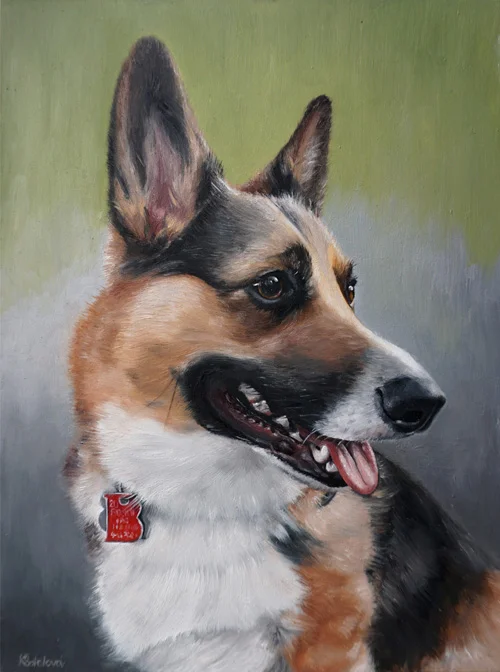 Julius, Corgi, 12"x9" oil