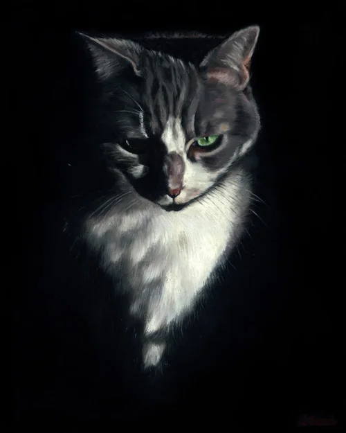 Miss Sweets, Cat, 10"x8" oil