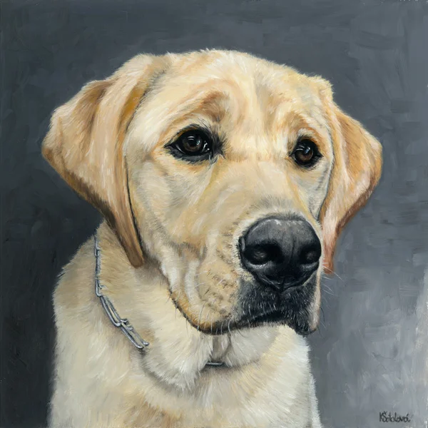 Somo, Yellow Labrador Retriever, 10"x10" oil