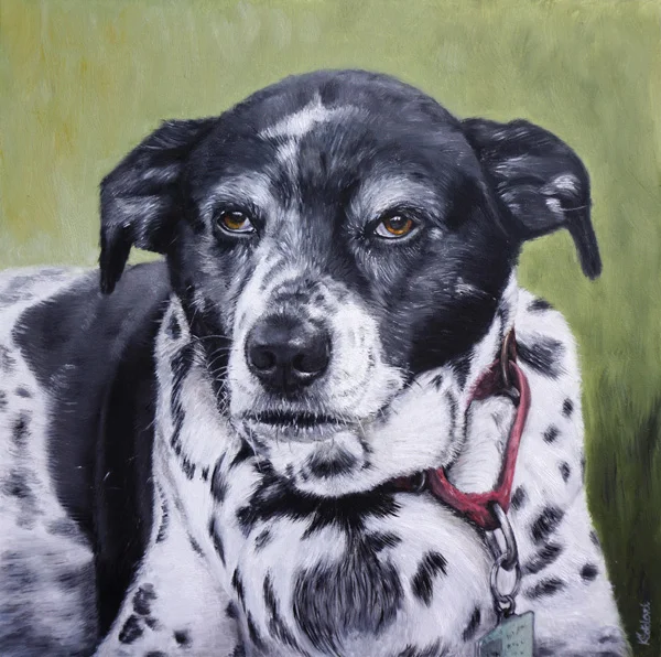 Izzy, rescue dog, 10"x10" oil