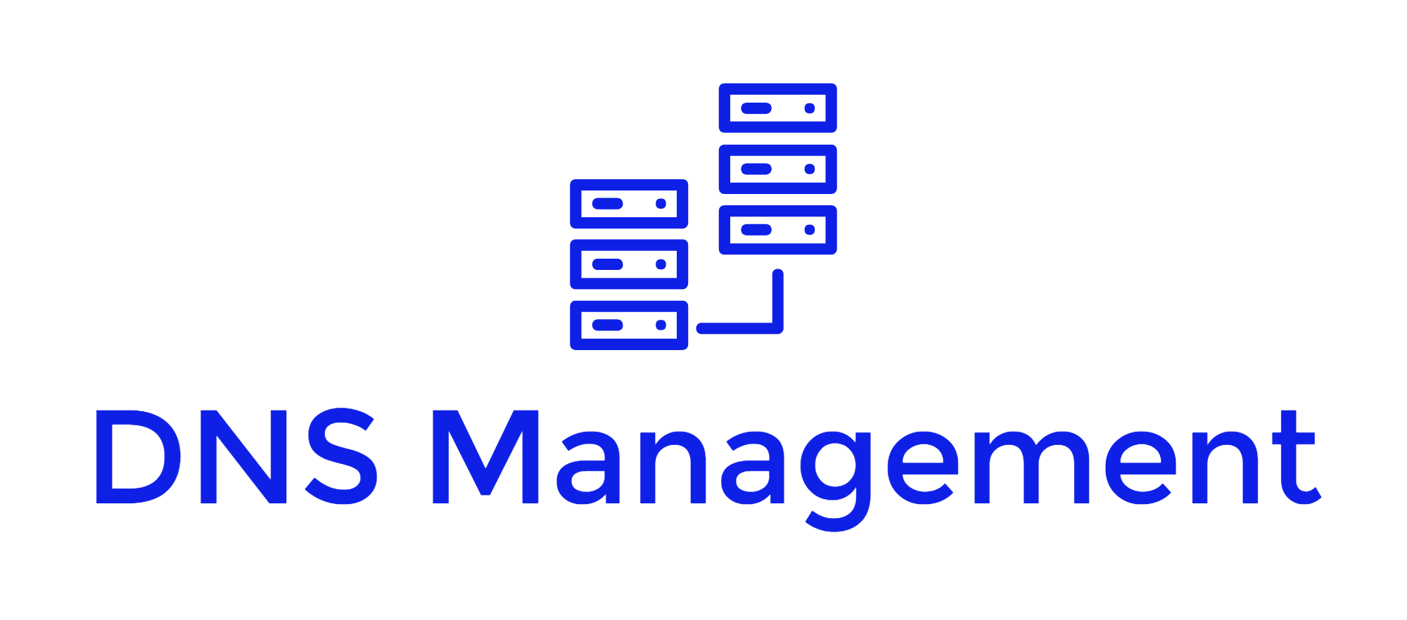 DNS Management-logo.png