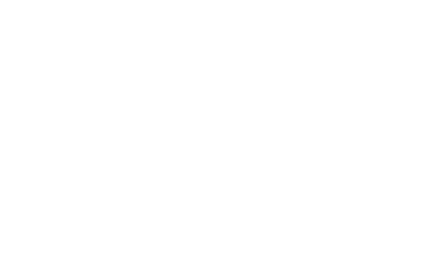 The Custom Food co