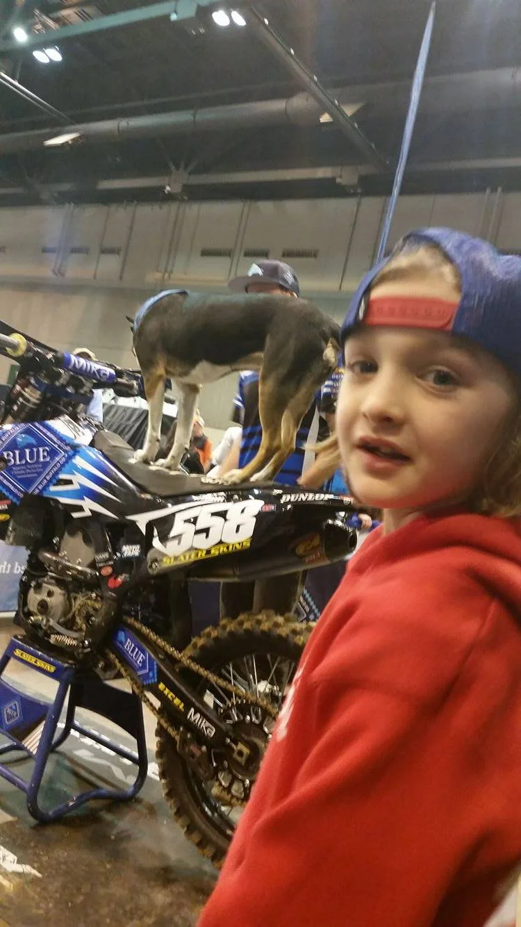 Remi loves meeting people and showing off a bit for the team and fans!