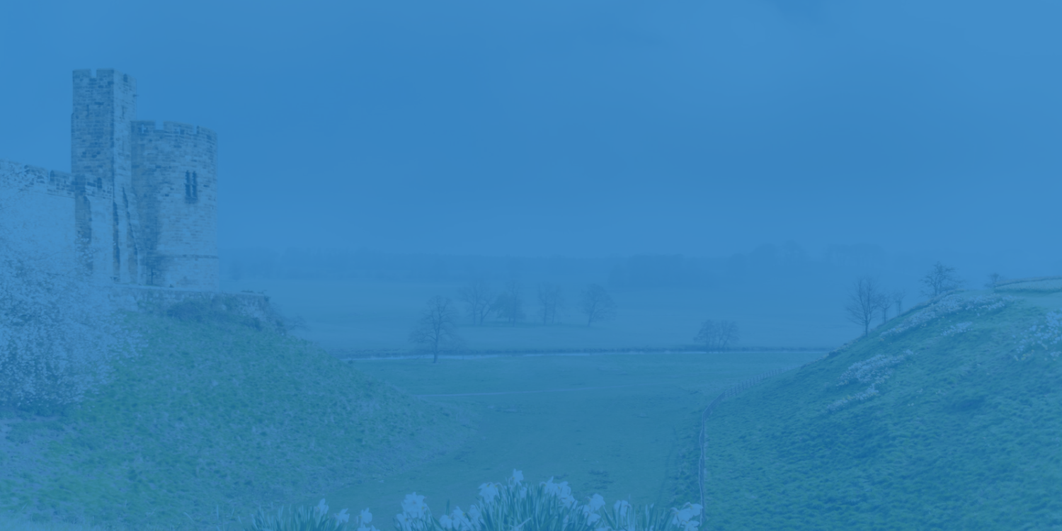 FOL VBS 2023 Page Banner.png