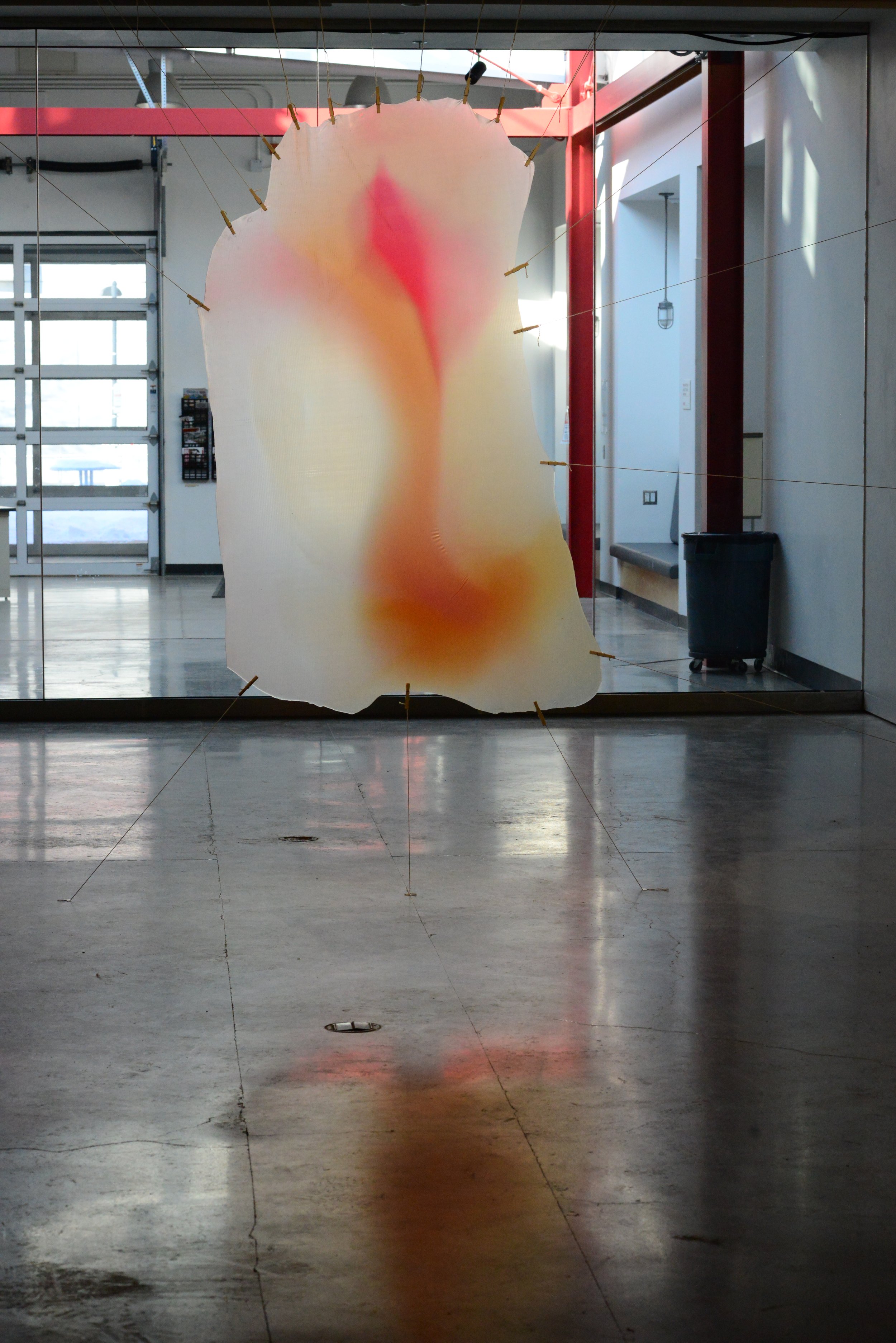 DSC_7709.JPG