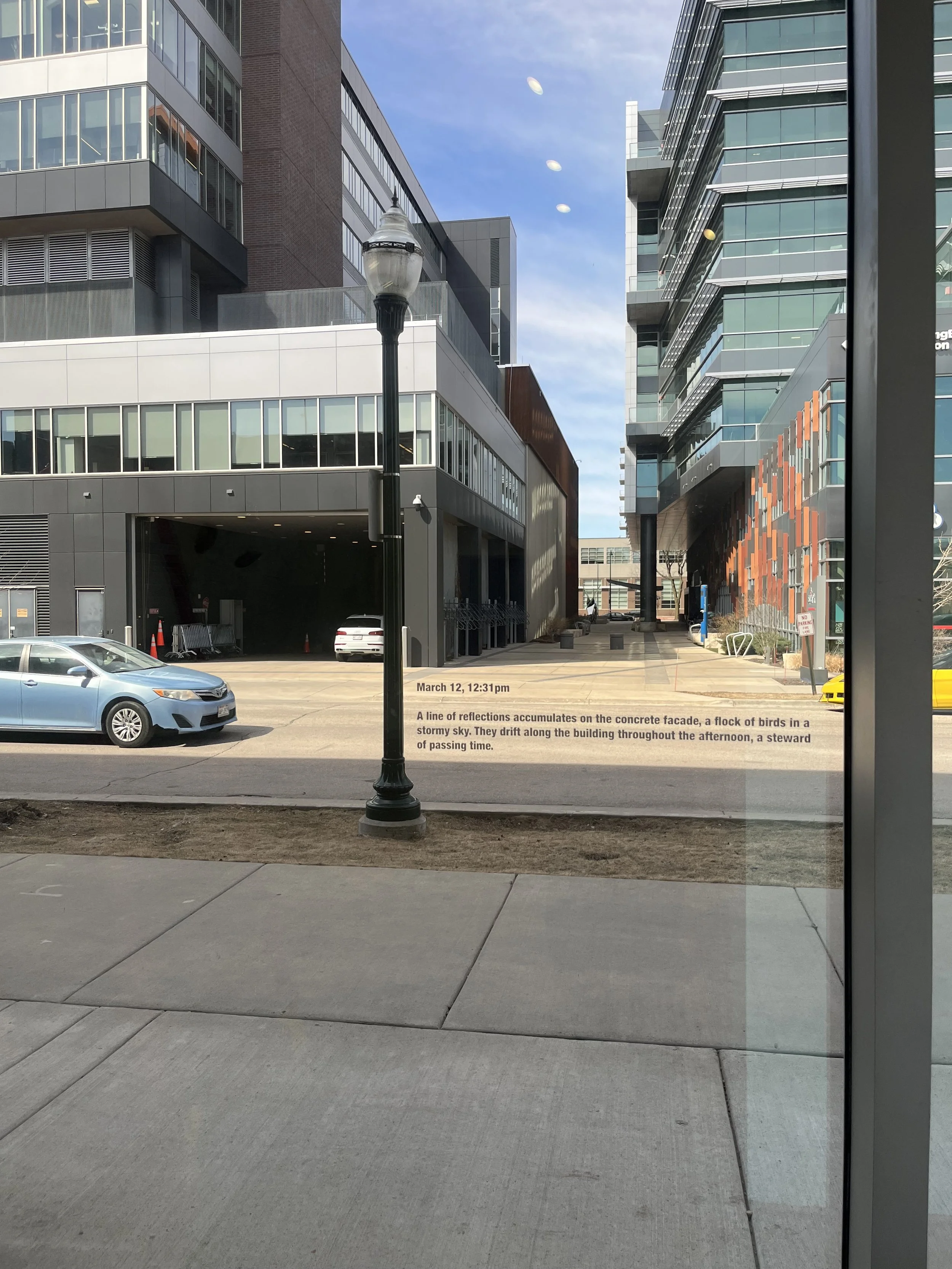 IMG_0984.jpeg