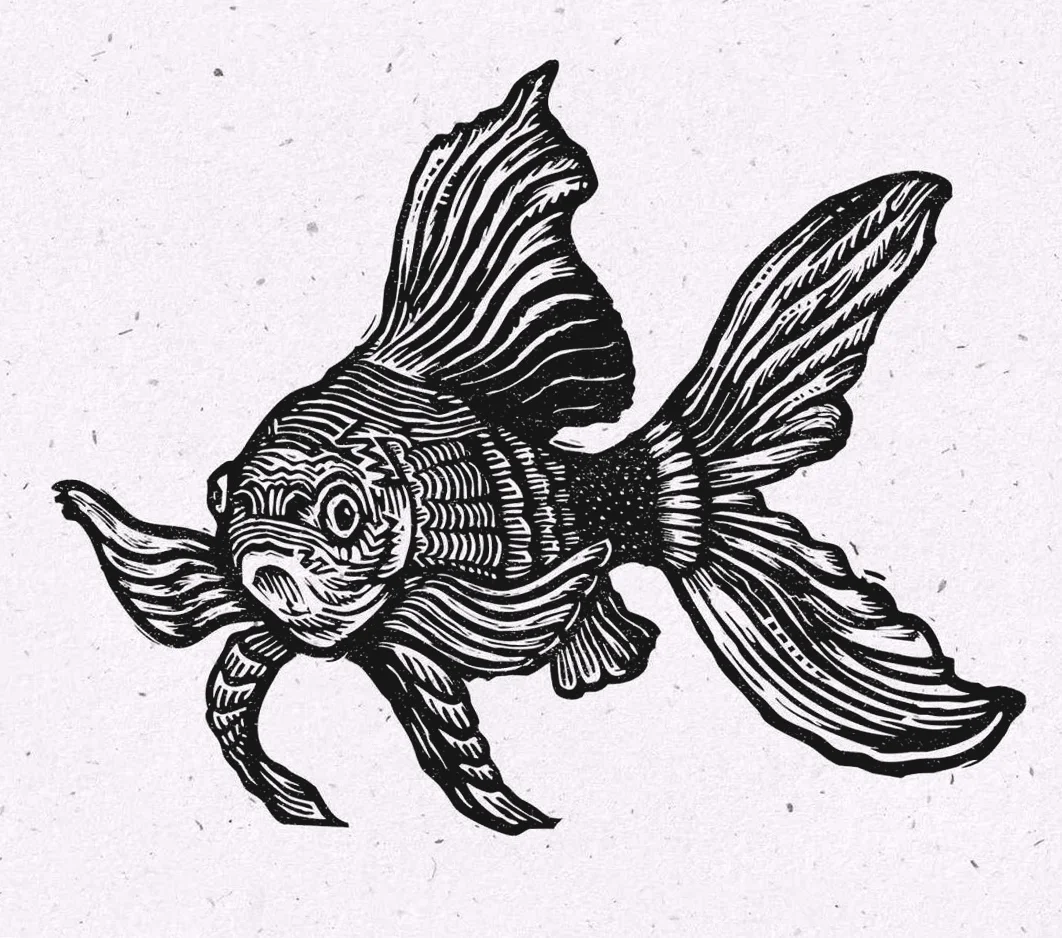 fish2.jpg