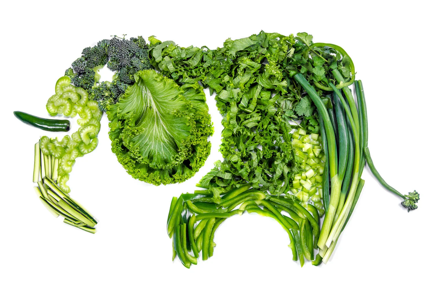 GreenElephant-full.jpg