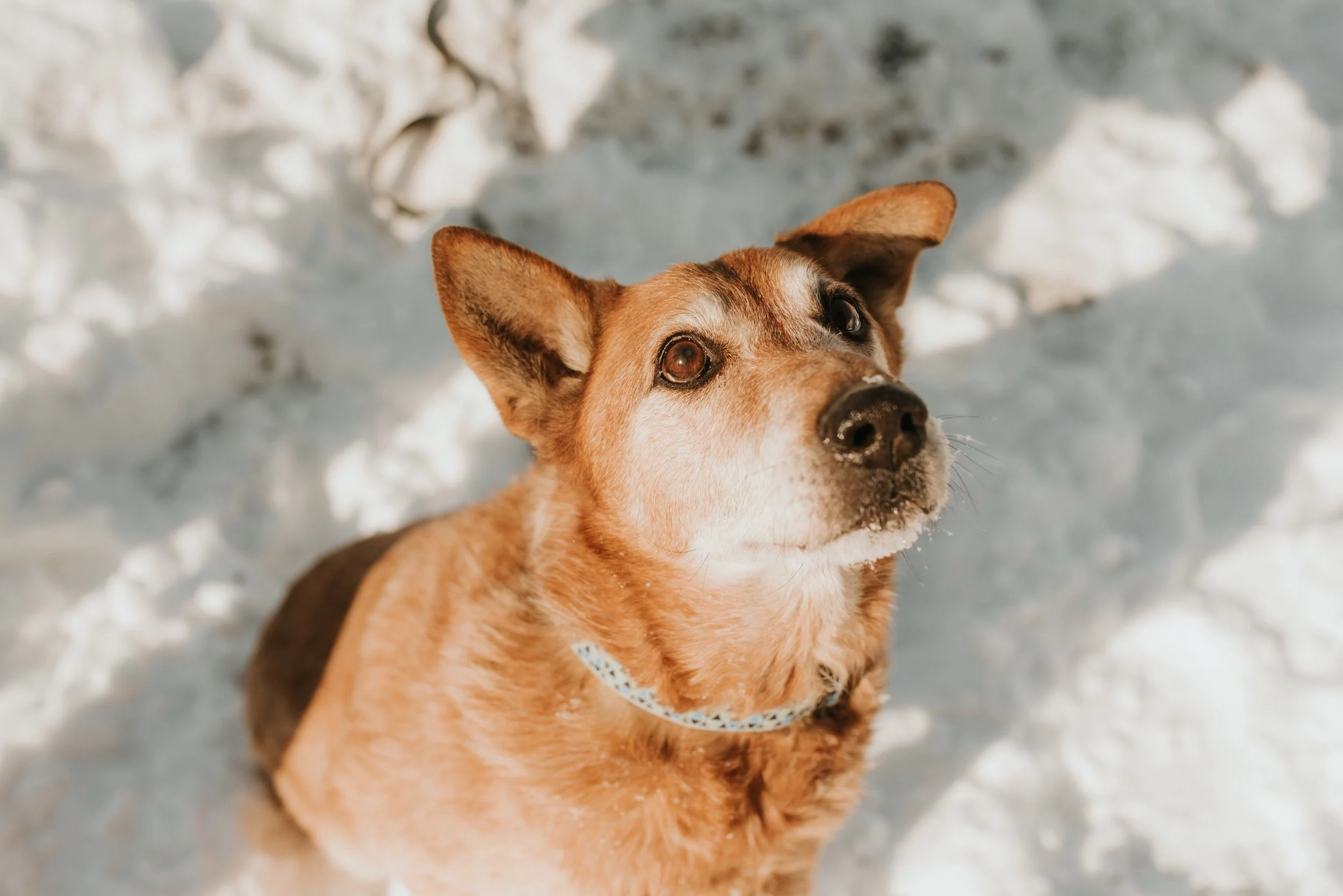 Rusty