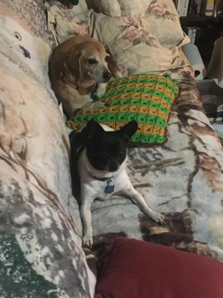 Sugar & Radar