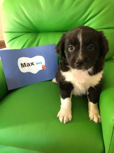 Max