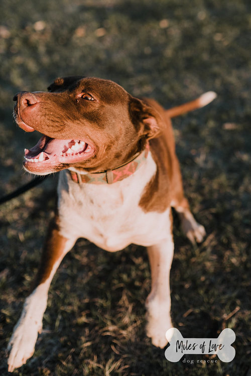 FIONA